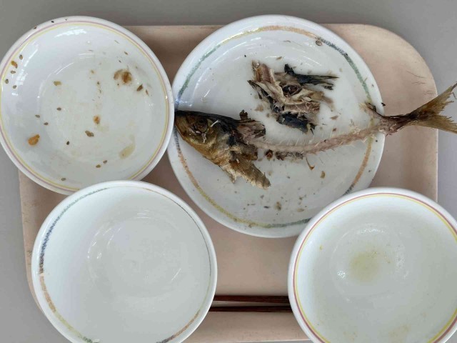 魚食育　.jpg