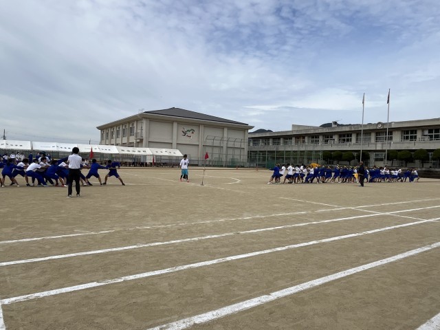 https://katsuragi.schoolweb.ne.jp/3020002/blog_img/54291126?tm=20241022104503